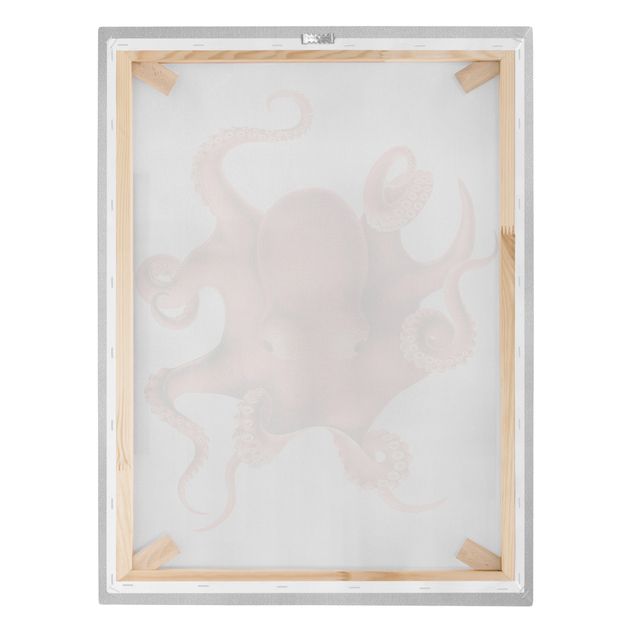 Canvastavlor stränder Vintage Illustration Red Octopus