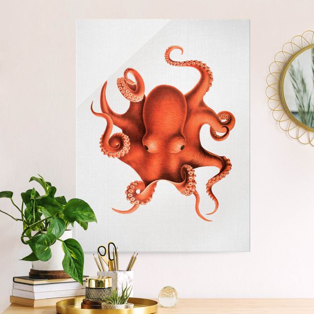 Tavlor fisk Vintage Illustration Red Octopus