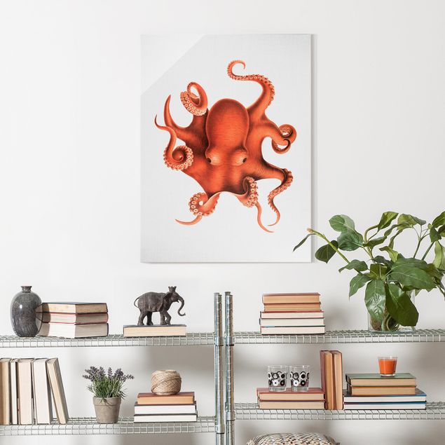 Tavlor landskap Vintage Illustration Red Octopus