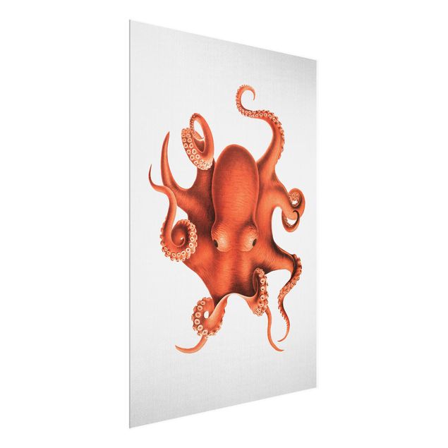 Tavlor hav Vintage Illustration Red Octopus