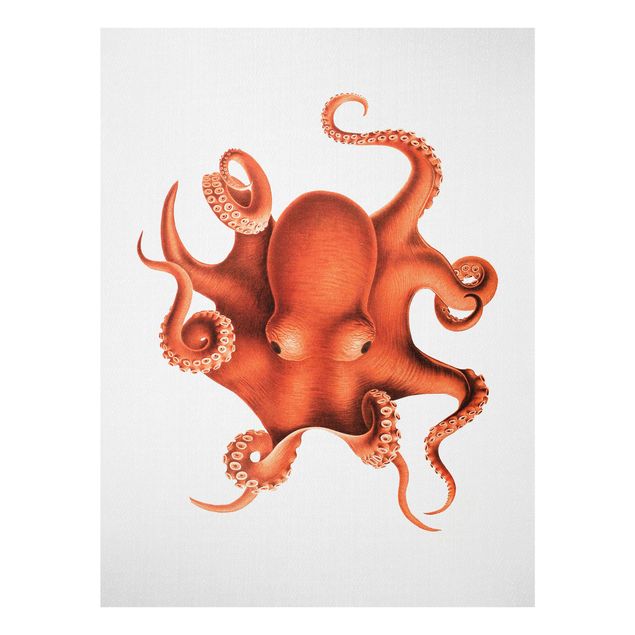 Glastavlor landskap Vintage Illustration Red Octopus