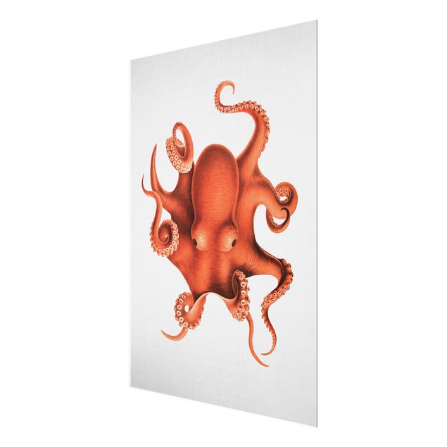 Glastavlor stränder Vintage Illustration Red Octopus
