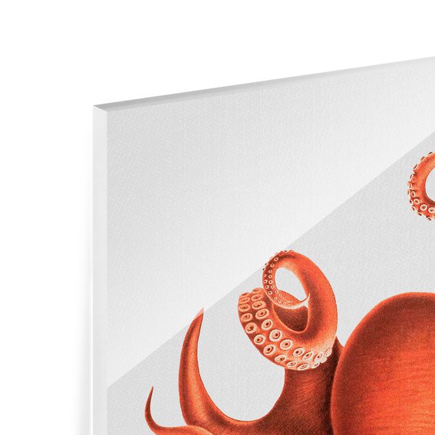 Glastavlor djur Vintage Illustration Red Octopus