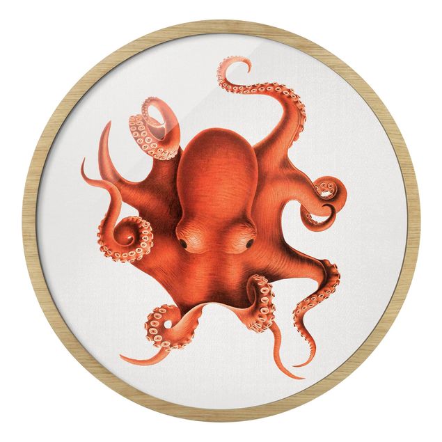 Tavlor med ram landskap Vintage Illustration Red Octopus