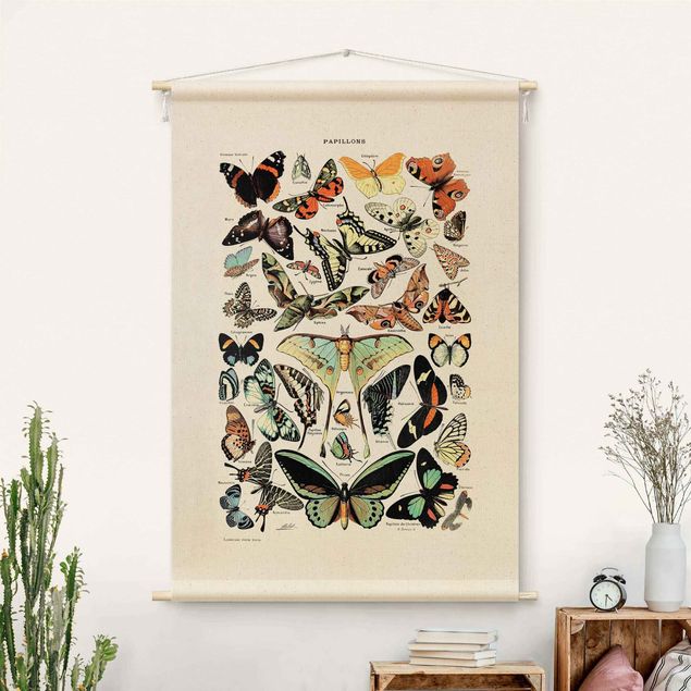 Modern väggbonad Vintage Teaching Illustration Butterflies