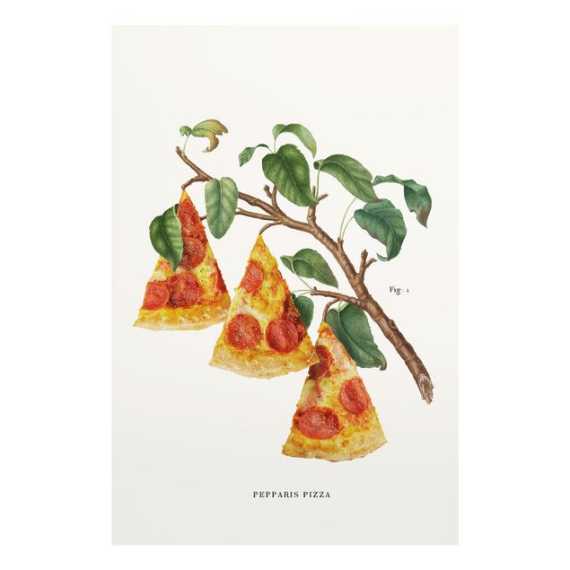 Tavlor Jonas Loose Vintage Plant - Pizza