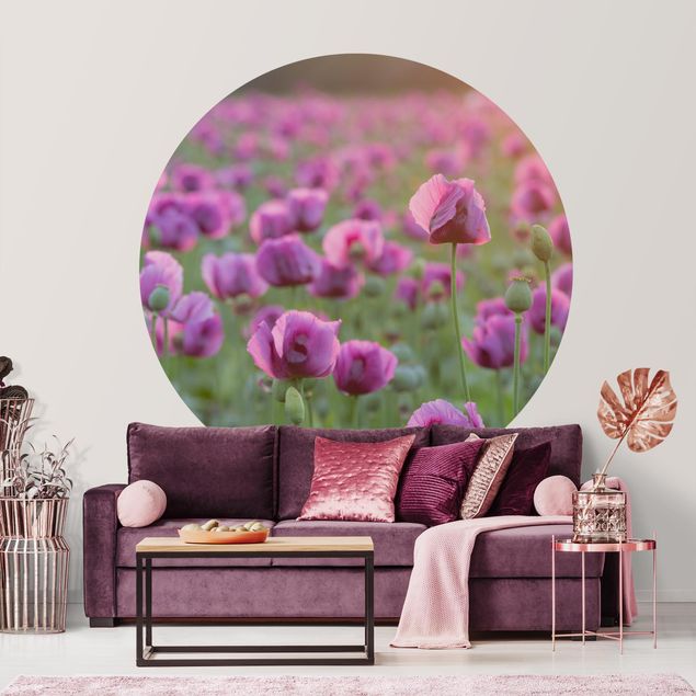 Kök dekoration Purple Poppy Flower Meadow In Spring