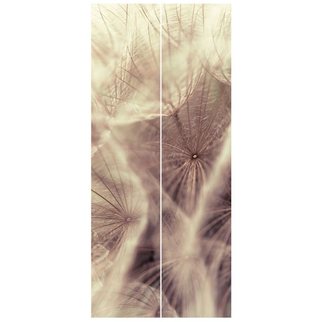 Fototapeter blommor  Detailed Dandelion Macro Shot With Vintage Blur Effect