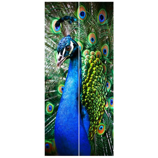 Tapeter modernt Noble Peacock