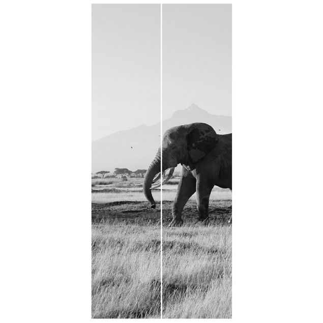 Fototapeter bergen Elephants In Front Of The Kilimanjaro In Kenya II
