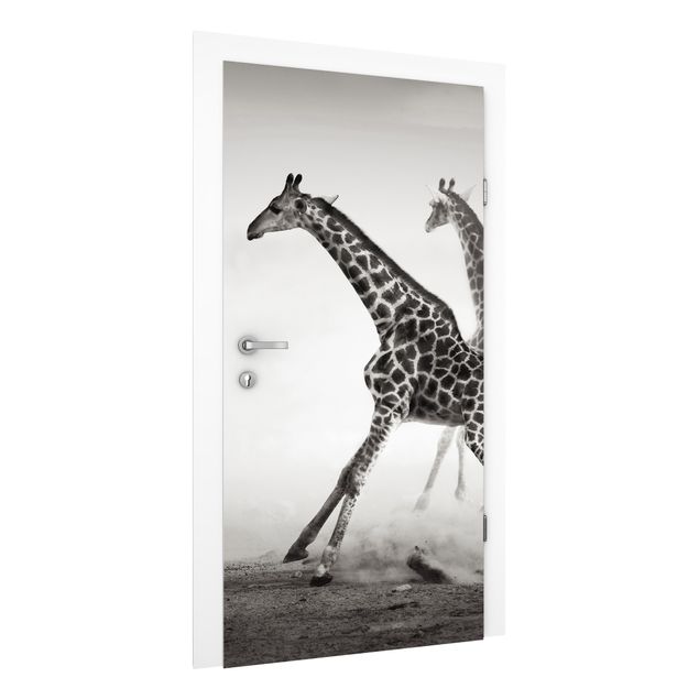 Fototapeter giraffer Giraffe Hunt