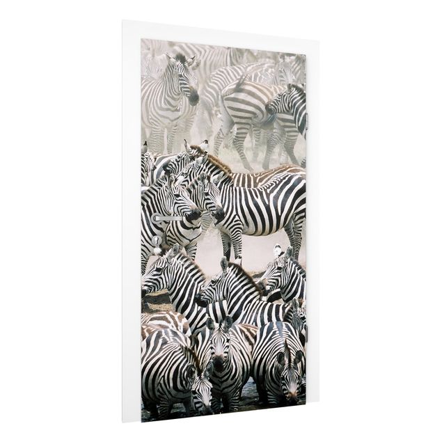 Fototapeter zebror Zebra Herd