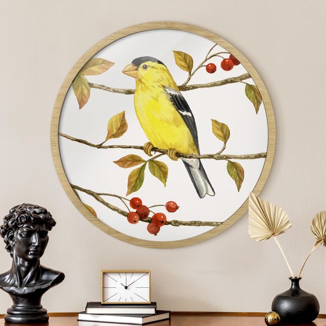 Tavlor med ram djur Birds And Berries - American Goldfinch