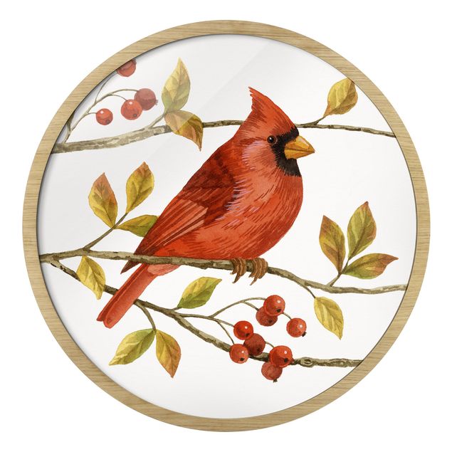 Tavlor orange Birds And Berries - Northern Cardinal