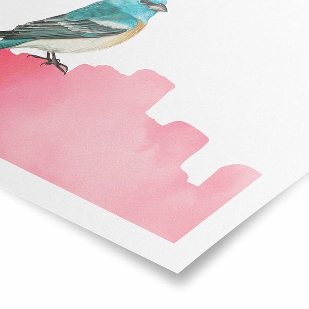 Tavlor Bird On Pink Backdrop