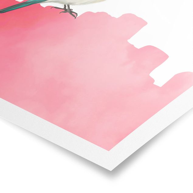 Tavlor Bird On Pink Backdrop
