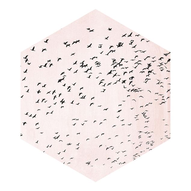 Hexagonala tapeter Flock Of Birds In The Sunset