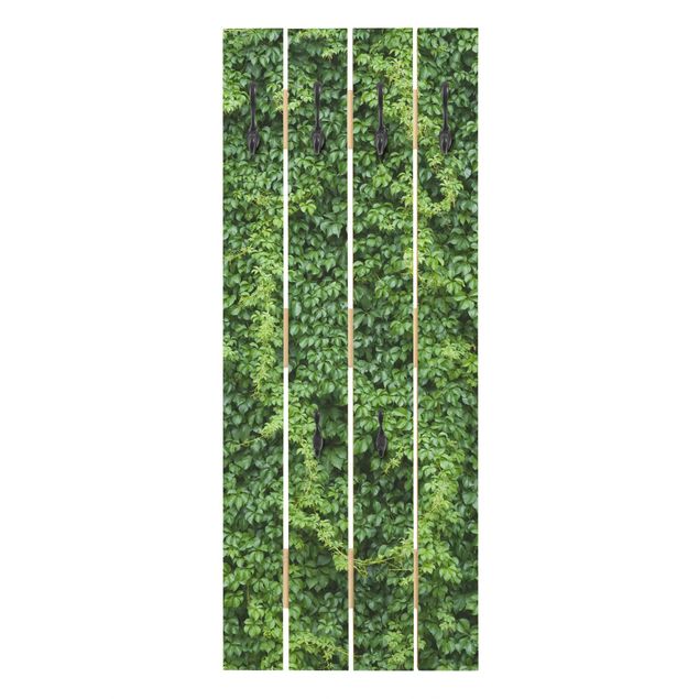 Klädhängare vägg grön Ivy