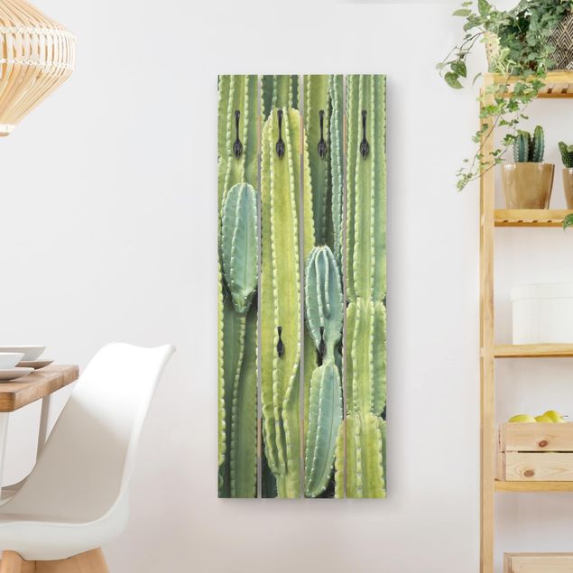 Klädhängare vägg blommor  Cactus Wall