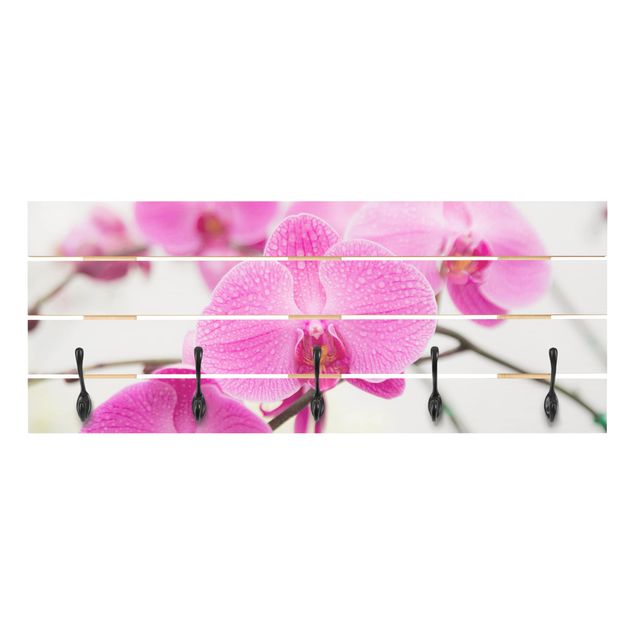 Klädhängare vägg Close-Up Orchid