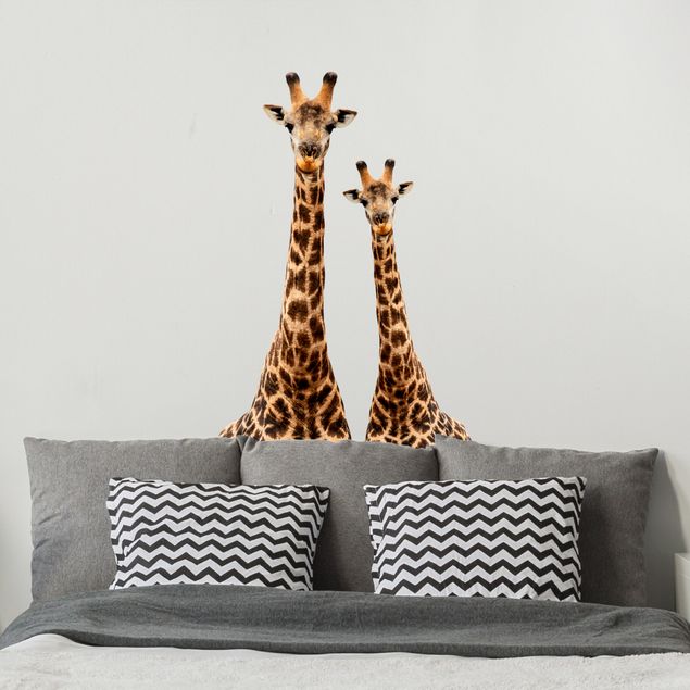 autocolantes decorativos parede Portrait of two giraffes