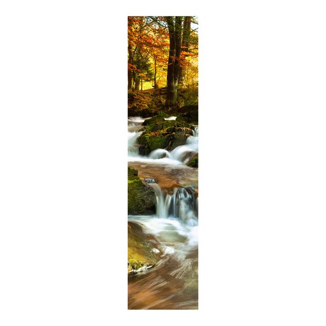 Panelgardiner landskap Waterfall Autumnal Forest