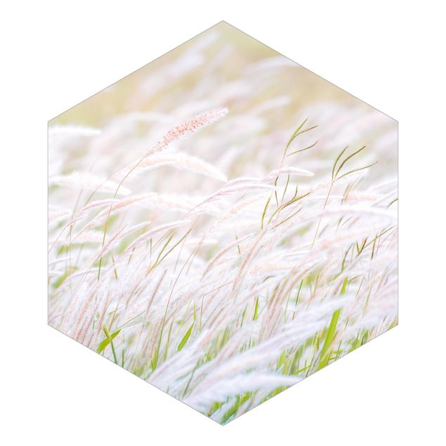 Tapeter Soft Grasses
