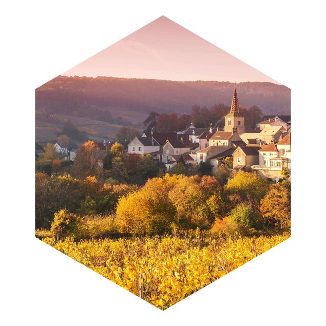 Hexagonala tapeter Vineyards In France