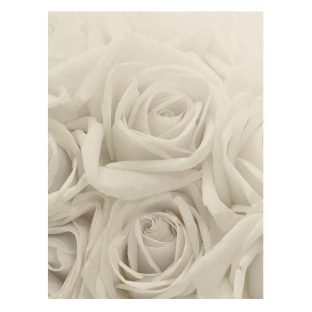 Tavlor blommor  White Roses