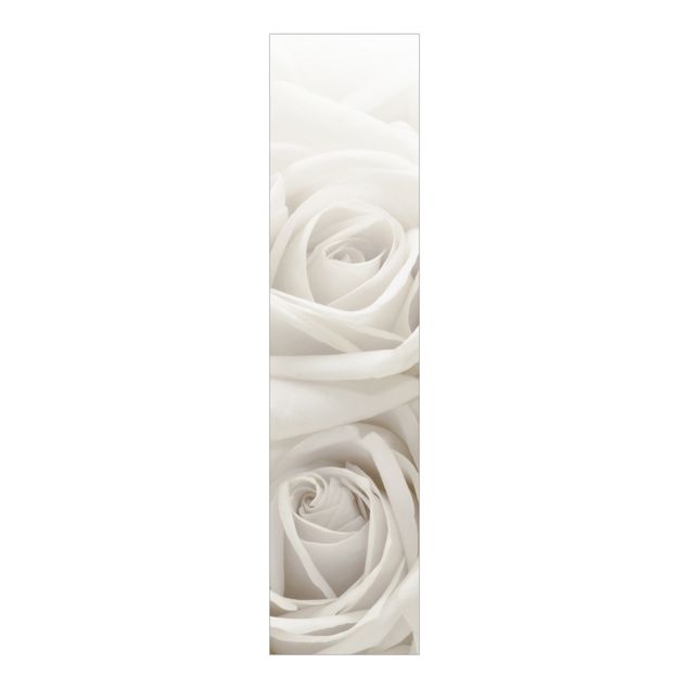 Panelgardiner blommor  White Roses