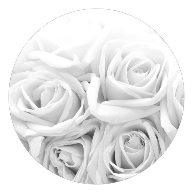 Tapeter modernt White Roses Black And White