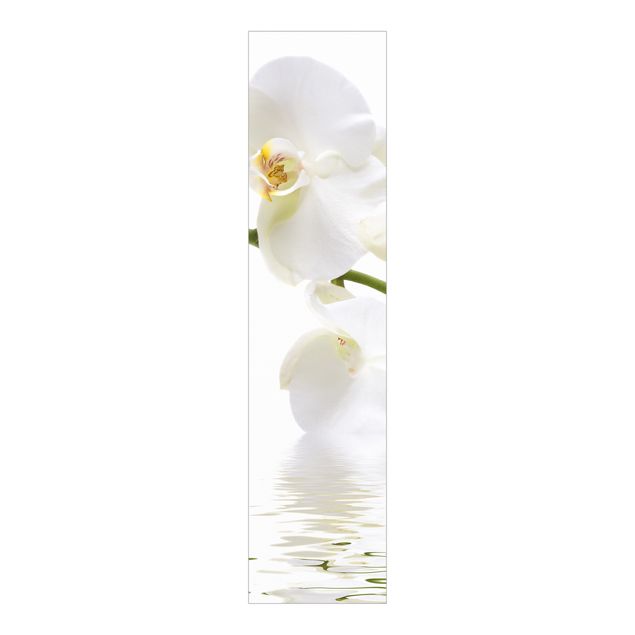 Panelgardiner blommor  White Orchid Waters