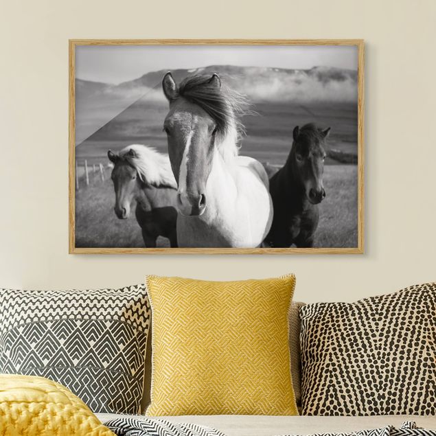 Kök dekoration Wild Horses Black And White
