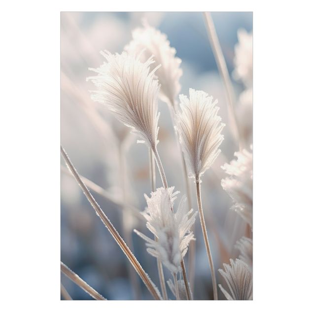 Fönsterfilm - Winter grasses close-up