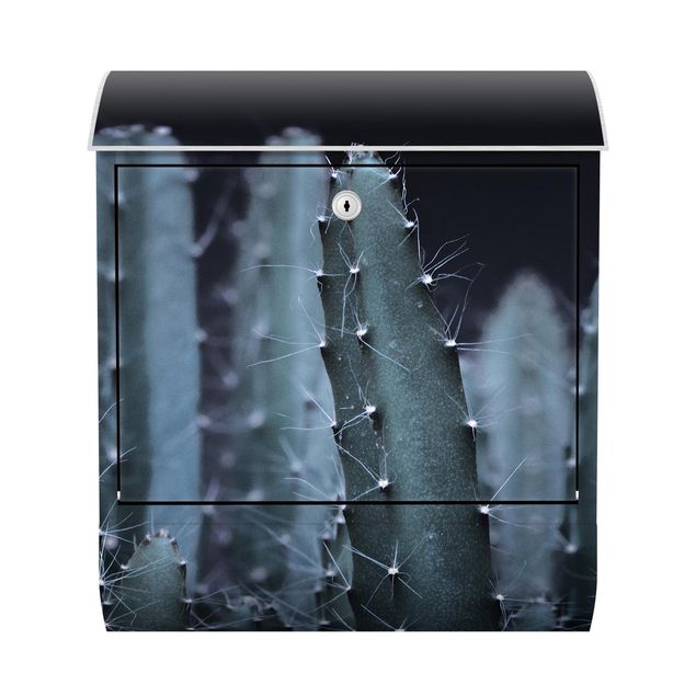 Brevlådor svart Desert Cactus At Night