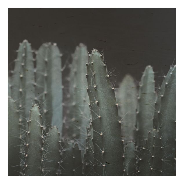 Trätavlor blommor  Desert Cactus At Night