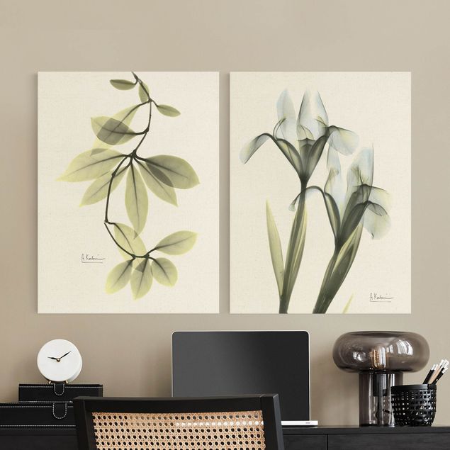 Tavlor grön X-Ray - Hoya Leaves & Iris