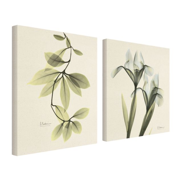 Canvastavlor X-Ray - Hoya Leaves & Iris