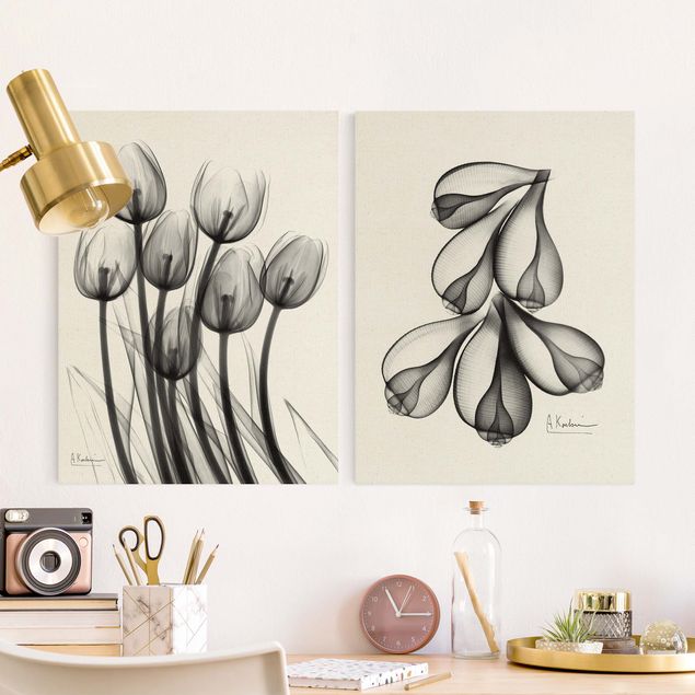Canvastavlor blommor  X-Ray - Tulips & Fig Shells