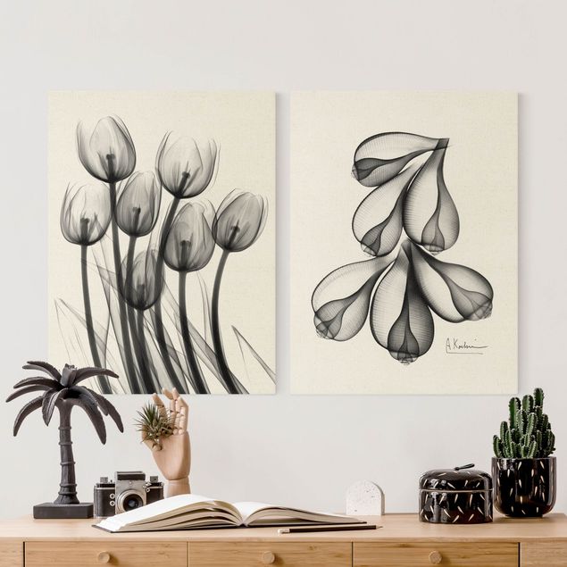 Tavlor svart och vitt X-Ray - Tulips & Fig Shells