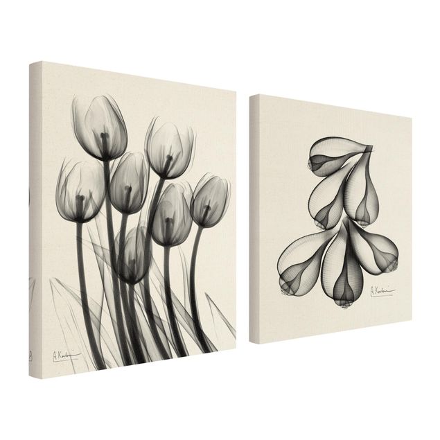 Canvastavlor X-Ray - Tulips & Fig Shells