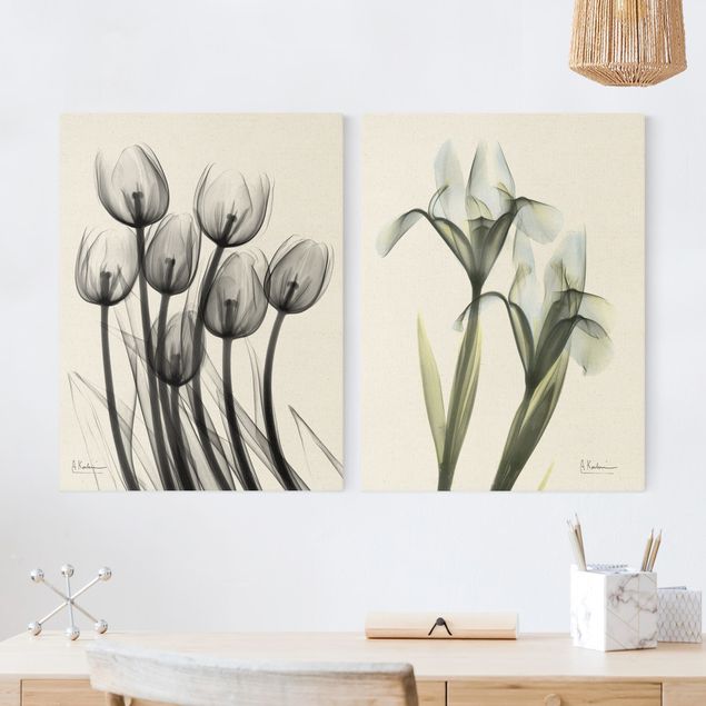 Canvastavlor blommor  X-Ray - Tulips & Iris