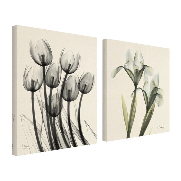 Canvastavlor X-Ray - Tulips & Iris