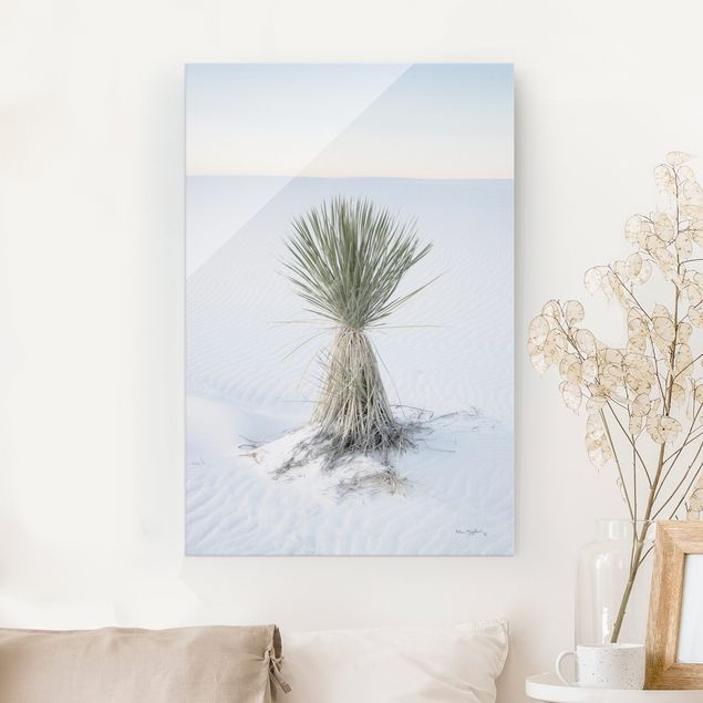 Glastavlor dyner Yucca palm in white sand