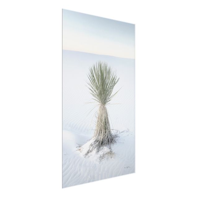 Tavlor natur Yucca palm in white sand