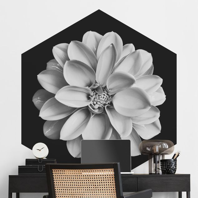 Fototapeter blommor  Delicate Dahlia In Black And White