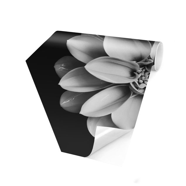 Fototapeter beige Delicate Dahlia In Black And White
