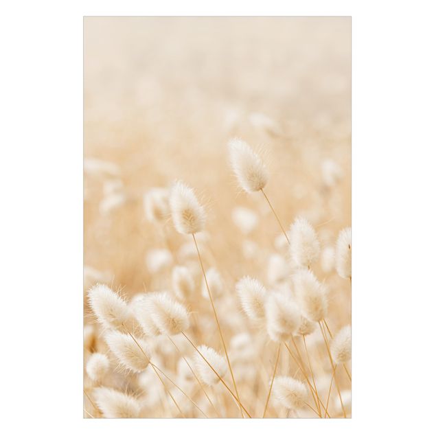 Fönsterfilm - Delicate Grasses