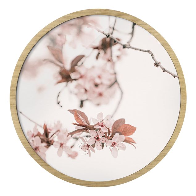 Tavlor Monika Strigel Delicate Cherry Blossoms On A Twig