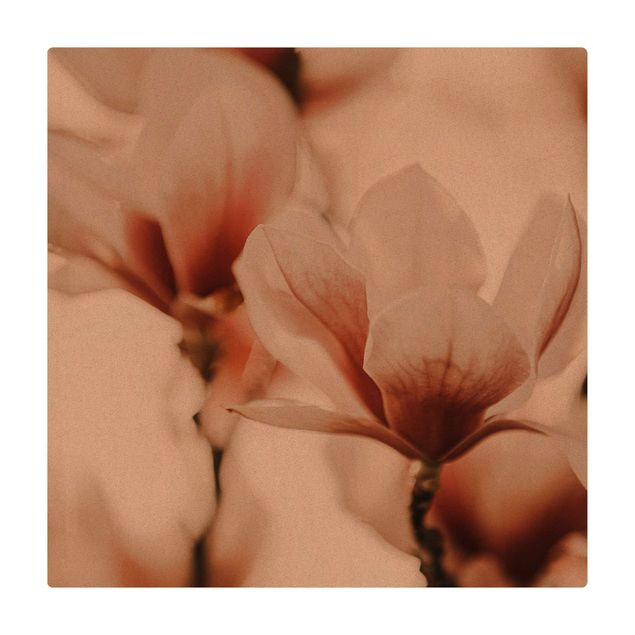 Kork-Teppich - Zarte Magnolienblüten im Lichtspiel - Quadrat 1:1